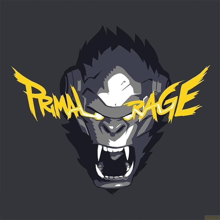 Actual product image ABYstyle OVERWATCH - Tshirt Winston man SS dark grey - new fit (M)