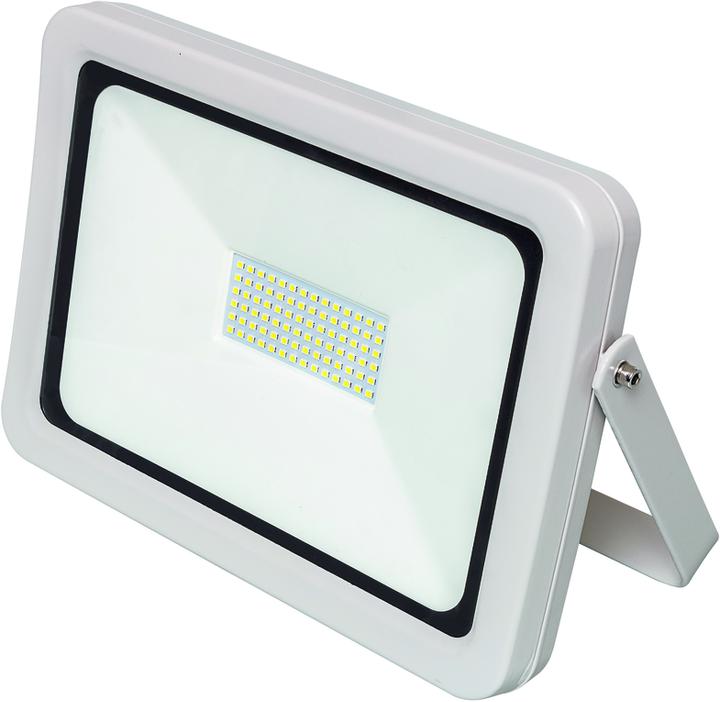 Worklight Faretto LED 30W (2500 lm)