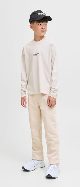 Actual product image Jack & Jones Relaxed Fit Hosen Junior Relaxed Fit Hosen (176)