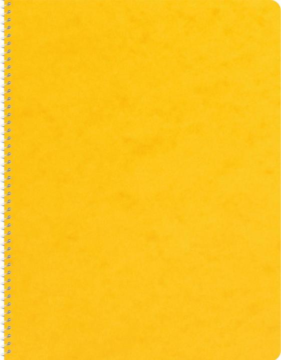 Immagine prodotto Novooo Spiralheft assortiert (148 x 210 mm, Quadretti)