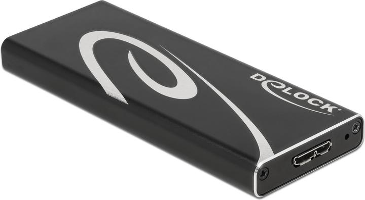 Actual product image Delock External housing 42007 (M.2 2242, M.2 2280, M.2 2260)