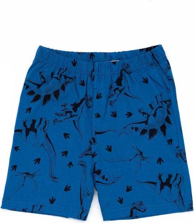 Produktbild Jurassic World Schlafanzug mit Shorts Jungen (140)