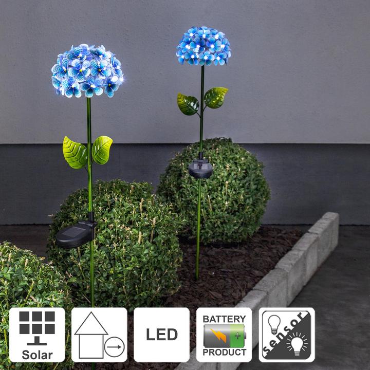Immagine prodotto Star Trading Hortensia (IP44)