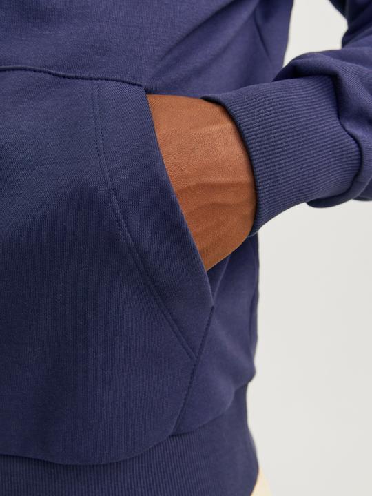 Actual product image Jack & Jones Jjecaleb Varsity Sweat Hood Noos (S)