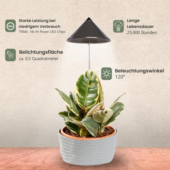 Immagine prodotto Colibri Grigio SUNLiTE (LED, 230 V)