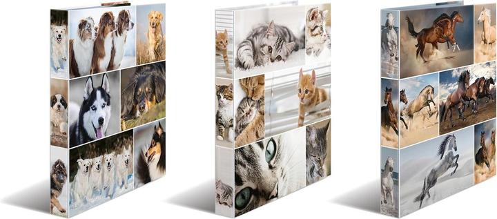 Actual product image HERMA A4 ring binder motif (A4, 35 mm, 1 Piece)