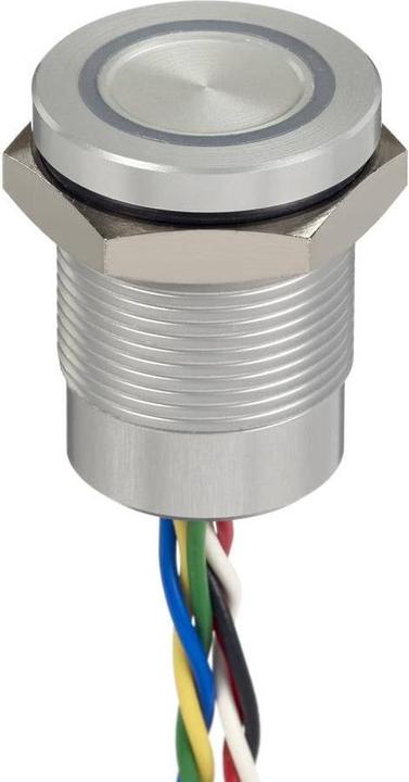 Actual product image APEM Capacitive switch