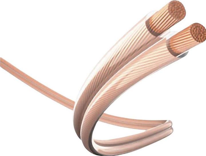 Image du produit Inakustik 2in1 (0.75 m, RCA)