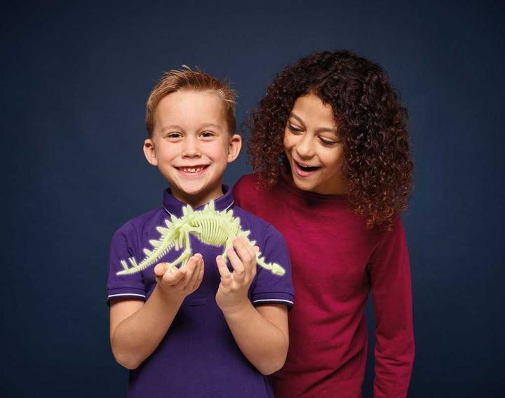 Actual product image Brainstorm Stegosaurus Skeleton Glow in the Dark