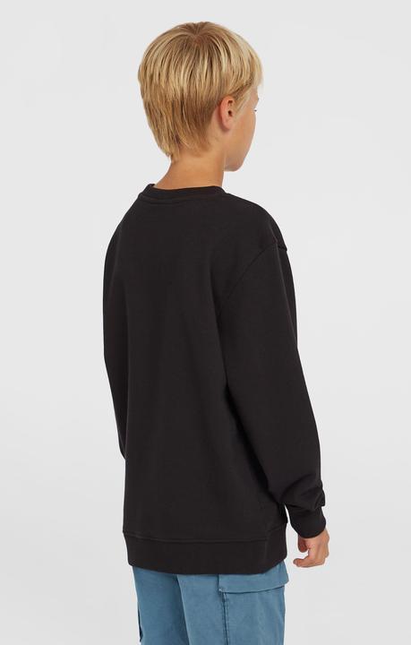 Image du produit O'Neill Logo Crew (104)