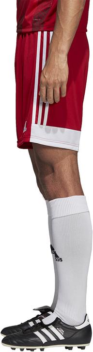 Image du produit adidas Tastigo 19 Short