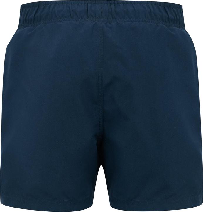 Actual product image Regatta Mens Mawson II Swim Shorts (L)