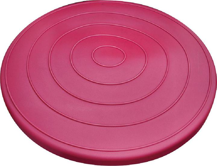 Actual product image Sport-Thieme Balance-Disc Air
