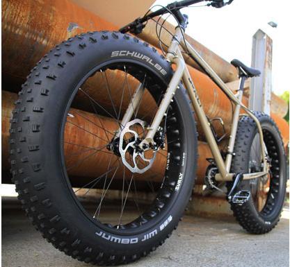 Actual product image Schwalbe Jumbo Jim Evo LiteSkin (26 x 4.80, 120-559)