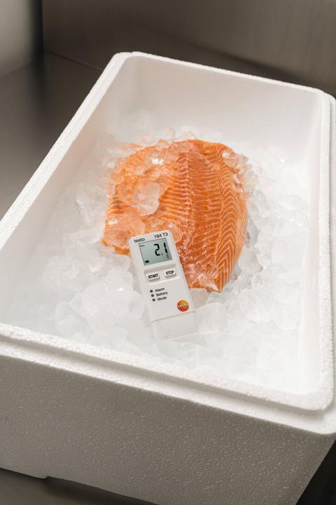 Actual product image Testo Temperature data logger 184 T3 (Thermometers)
