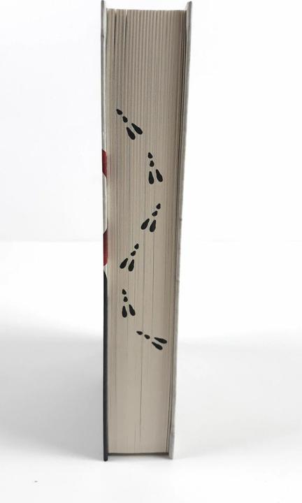 Actual product image Die Chroniken von Alice - Finsternis im Wunderland (German, Christina Henry, 2020)