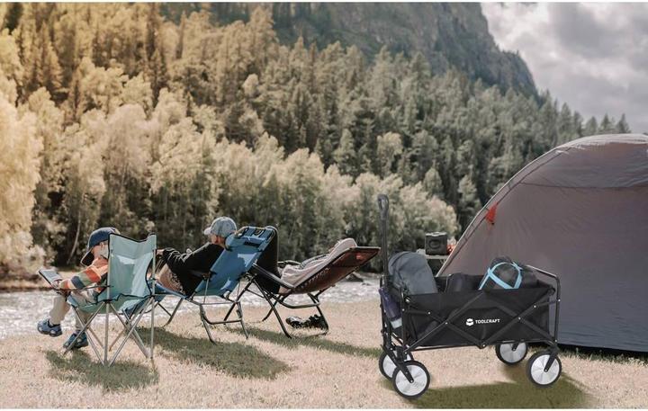 Image du produit Toolcraft Handwagen (80 kg)