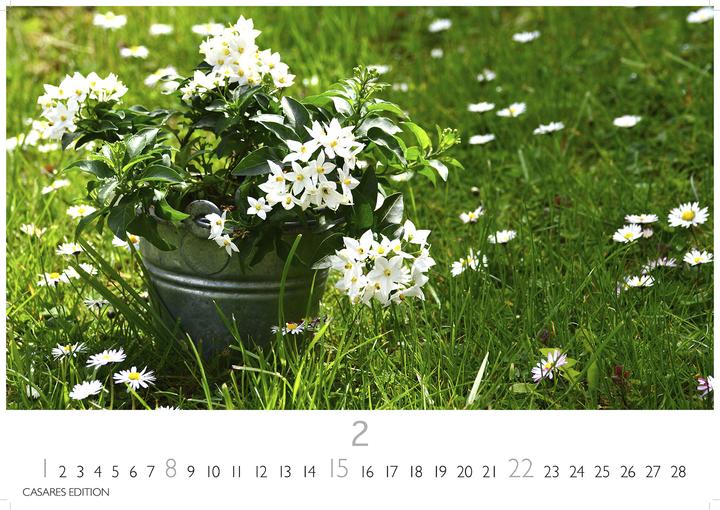 Produktbild Blumenwiese 2026 L 35x50cm (35 x 50 cm, Deutsch)