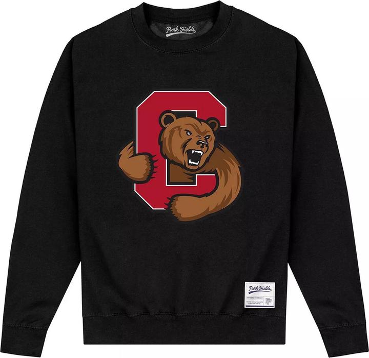 Sweatshirt (S)