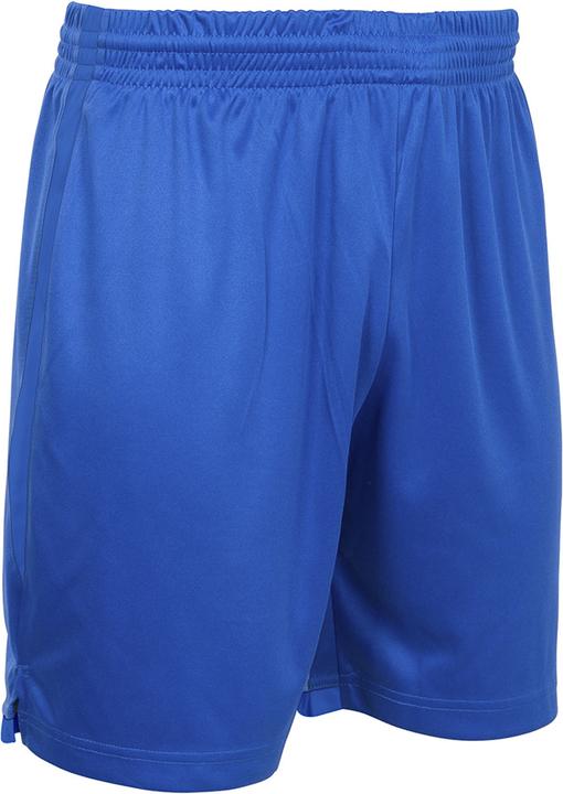 Actual product image Stanno Focus Short (L)