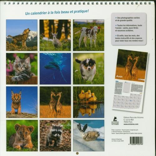 Produktbild Tierbabys (30 x 30 cm, Harter Einband, Französisch)