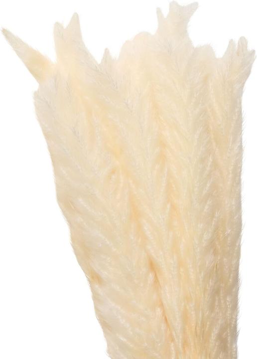 Produktbild micasa Pampas (100 cm)