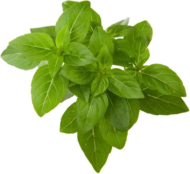 Image du produit Click and Grow Basilic nain (Graines d'herbes aromatiques)