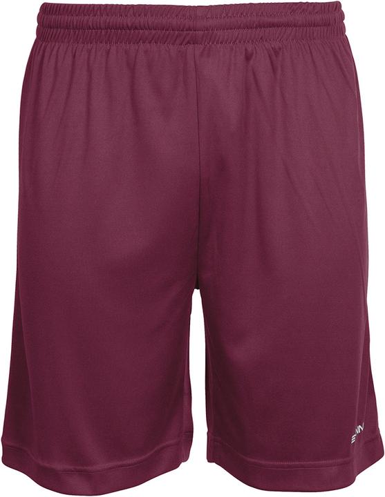 Actual product image Stanno Field Shorts (164)