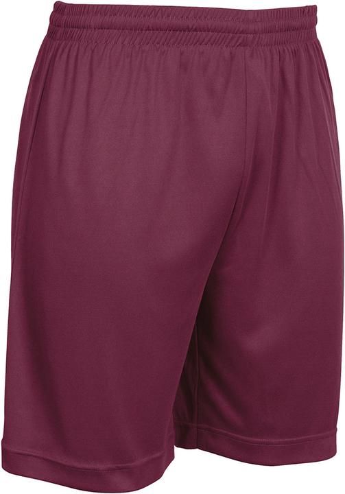 Actual product image Stanno Field Shorts (164)