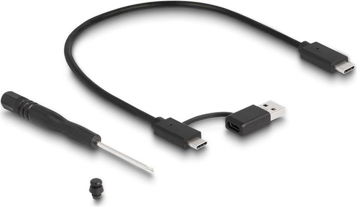 Image du produit Delock Boîtier de jeu externe pour M.2 N (M.2)