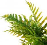 Produktbild Ibergarden grosser Zementtopf grüne Palme