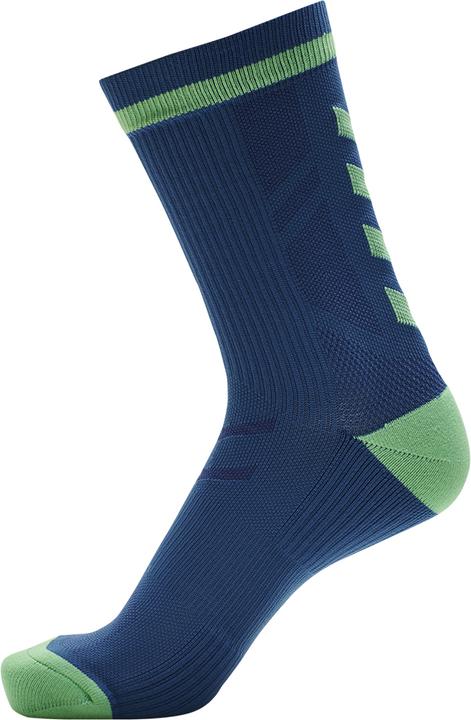 greenashbluecoral