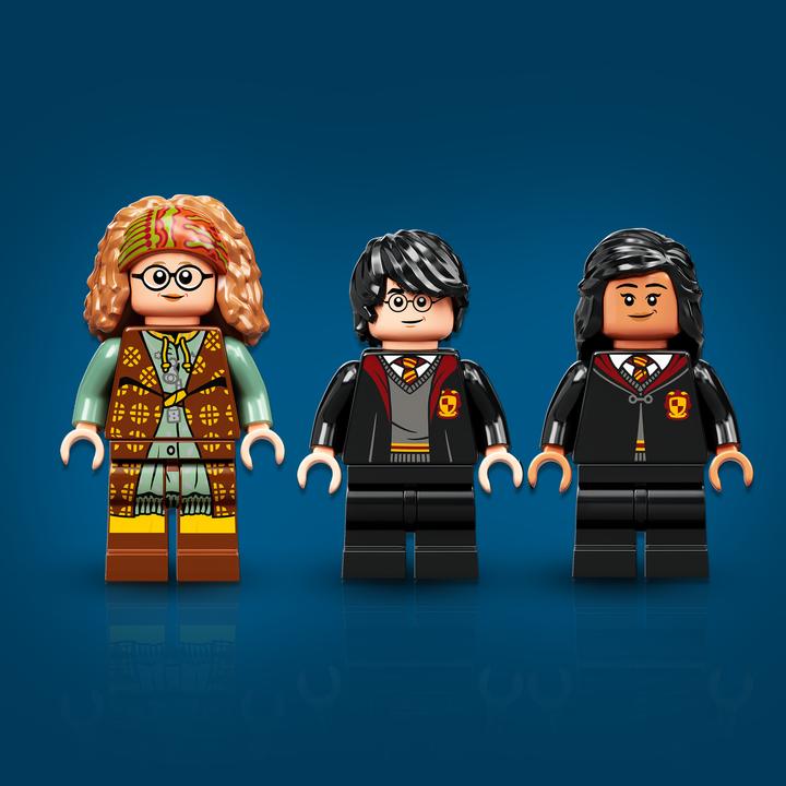 Image du produit LEGO Moment Poudlard : cours de divination (76396, LEGO Harry Potter)