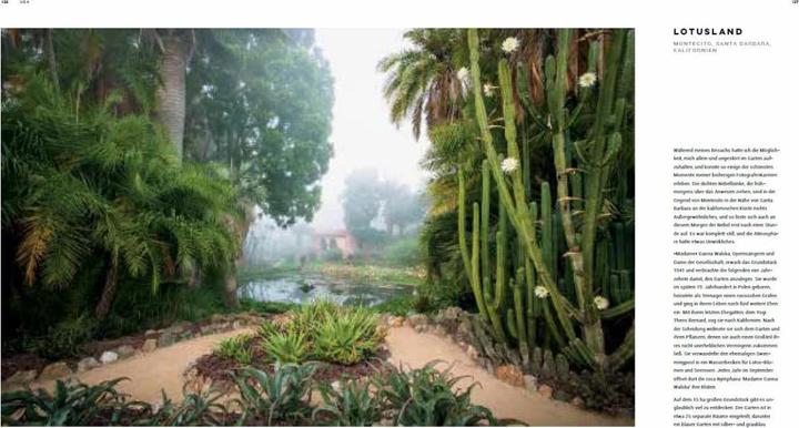 Produktbild Dreamscapes (Deutsch, Claire Takacs, 2018)