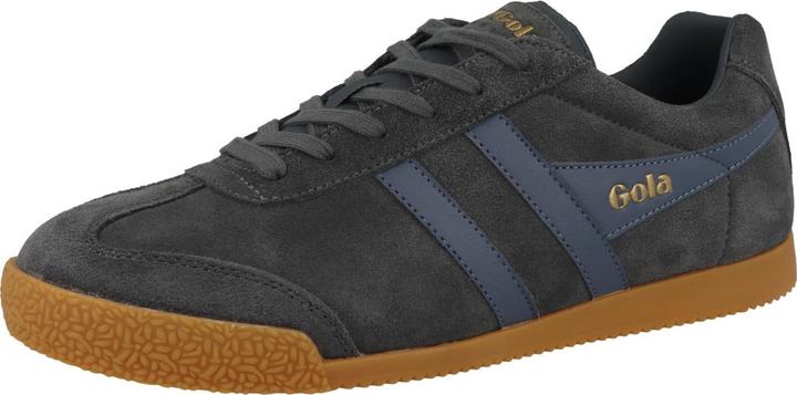 Immagine prodotto Gola Harrier (46)