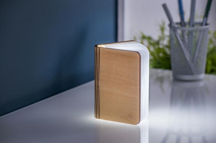 Actual product image Gingko smart book
