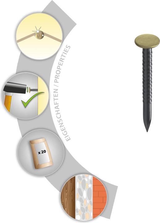 Produktbild Tox Bildernagel Home Classic (20 Stück, 40 mm)