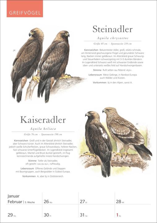 Produktbild Harenberg KOSMOS Was fliegt denn da? Wochenplaner 2026 - Der Kalender zum KOSMOS-Naturführe (Deutsch)