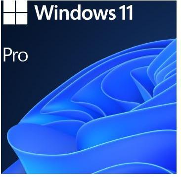 Actual product image Microsoft Windows 11 Pro (ENG) (1 User, unlimited)