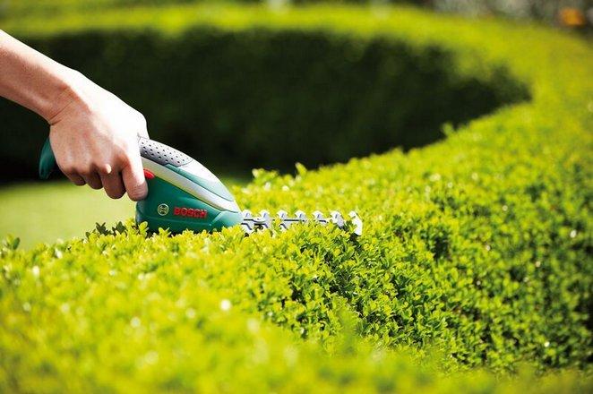 Actual product image Bosch Home & Garden Isio cordless shrub & grass shear set