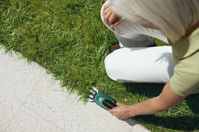 Actual product image Bosch Home & Garden Isio cordless shrub & grass shear set