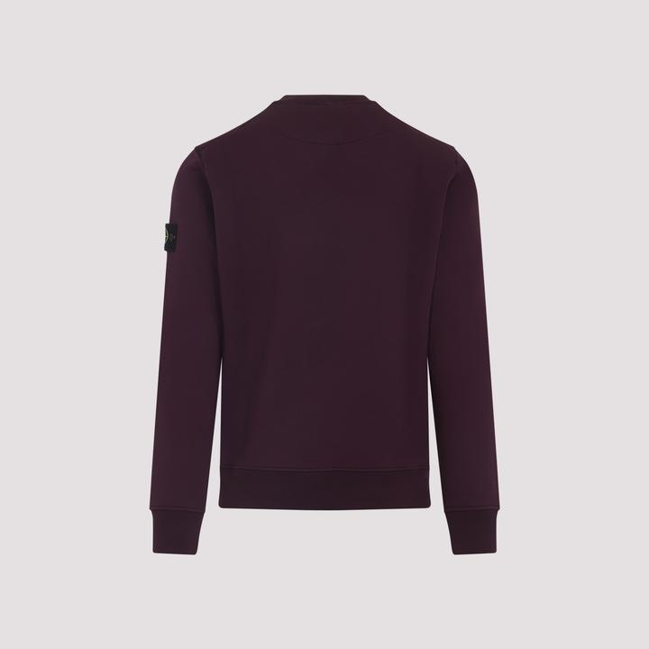 Actual product image Stone Island K2S156100060.S0051 (S)