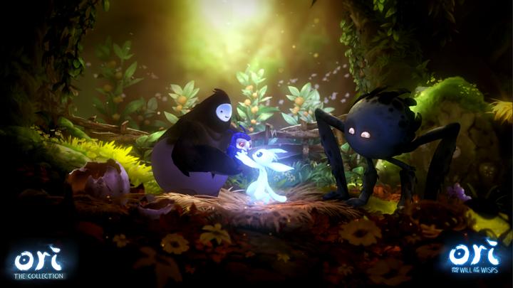 Image du produit Skybound Ori - La collection (Switch, Switch Lite, Switch OLED, DE)