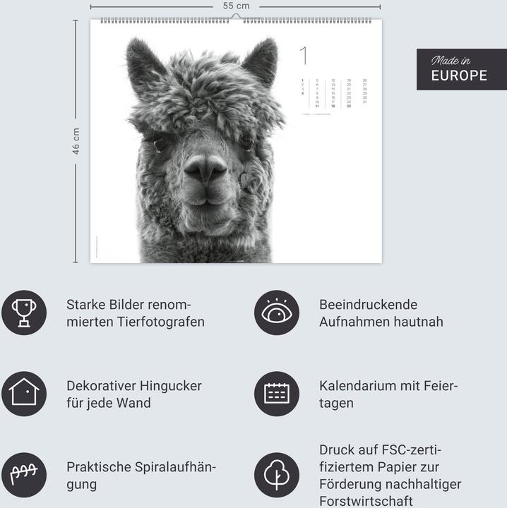 Produktbild Black & White Animals 2026 (55 x 46 cm, Harter Einband, Deutsch)