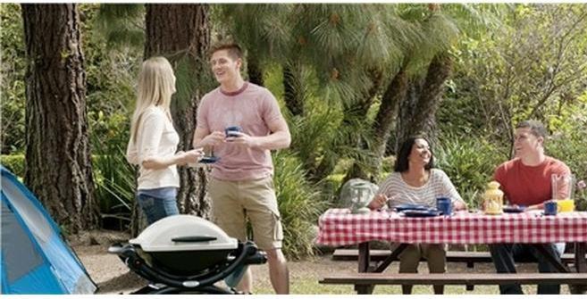 Produktbild Weber Q 1000 (2.64 kW)