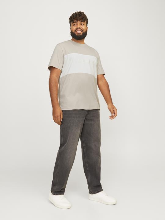 Actual product image Jack & Jones Jjelegacy Blocking Tee Ss O-Neck Noo Pls (4XL)