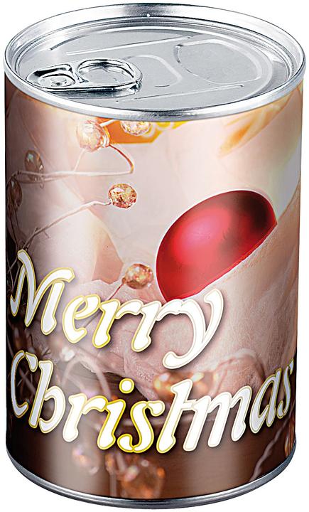 Infactory Geschenkdose Merry Christmas: Originelle Präsent-Verpackung (Geschenktüte)