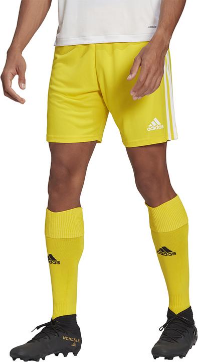 Actual product image adidas Squadra 21 Short (XL)