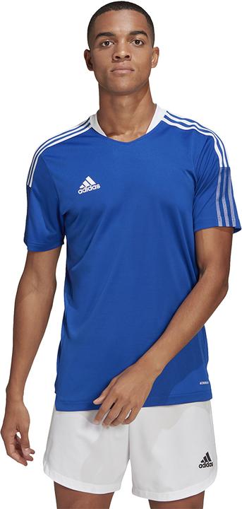 Produktbild adidas Tiro 21 Trainingstrikot (S)