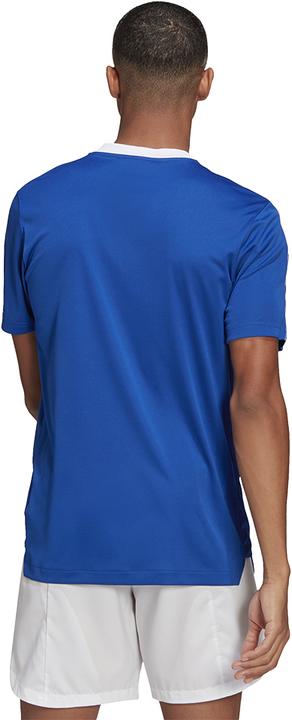 Produktbild adidas Tiro 21 Trainingstrikot (S)